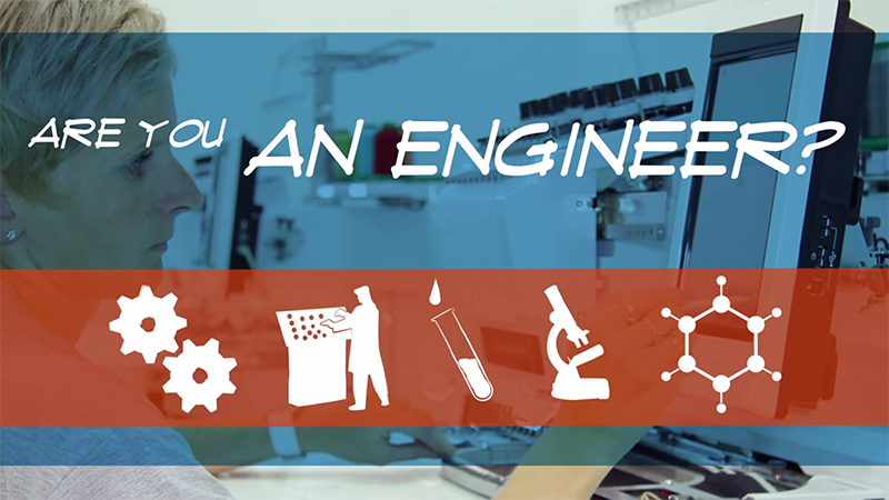 Motion Graphics and Video Editing